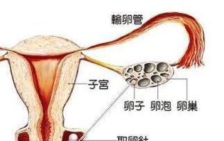 2026湖南正规合法试管医院排行推荐