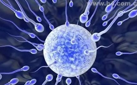 不孕不育男性可以治疗吗？