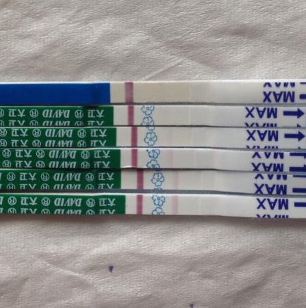 目前香港正规医院公示的费用大概是多少钱一年？