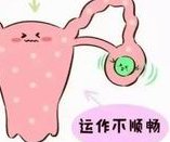 唐山路南区试管婴儿多少钱，唐山路南区试管婴儿多少钱啊