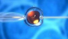 哈萨克斯坦单身试管合法吗？国外试管流程很复杂